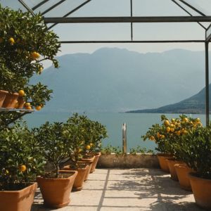 Limonaia Personalizzata Lago d'Iseo - Gazebi Cuppari: Eleganza e Funzionalità